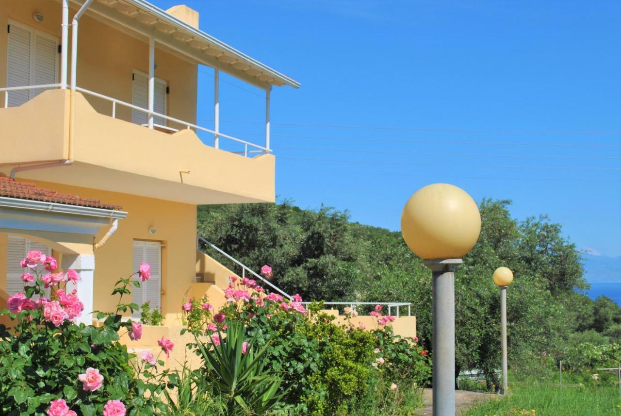 Lefkothea Apartments Kassiopi Exteriör bild